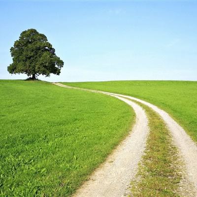 今期澳门三肖三码开一码下载手机版