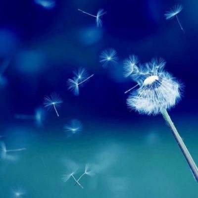 开云·kaiyun体育下载手机版