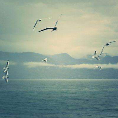 开云·kaiyun体育下载手机版