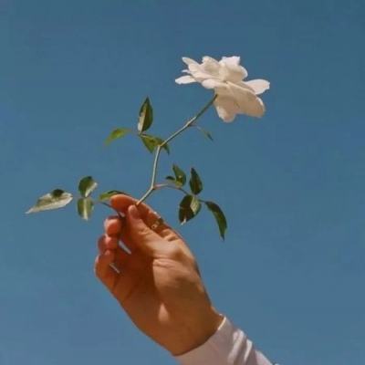 环球体育官网下载