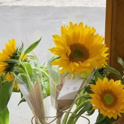 芒果体育手机app下载